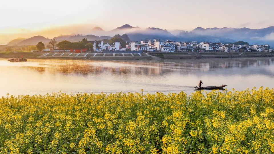 鏡觀中國丨立生態(tài)環(huán)境法典 譜美麗中國新篇