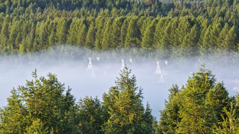 新華鮮報 | 春已至！“植”綠山河