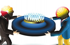 中石油收購(gòu)殼牌20%頁巖氣項(xiàng)目