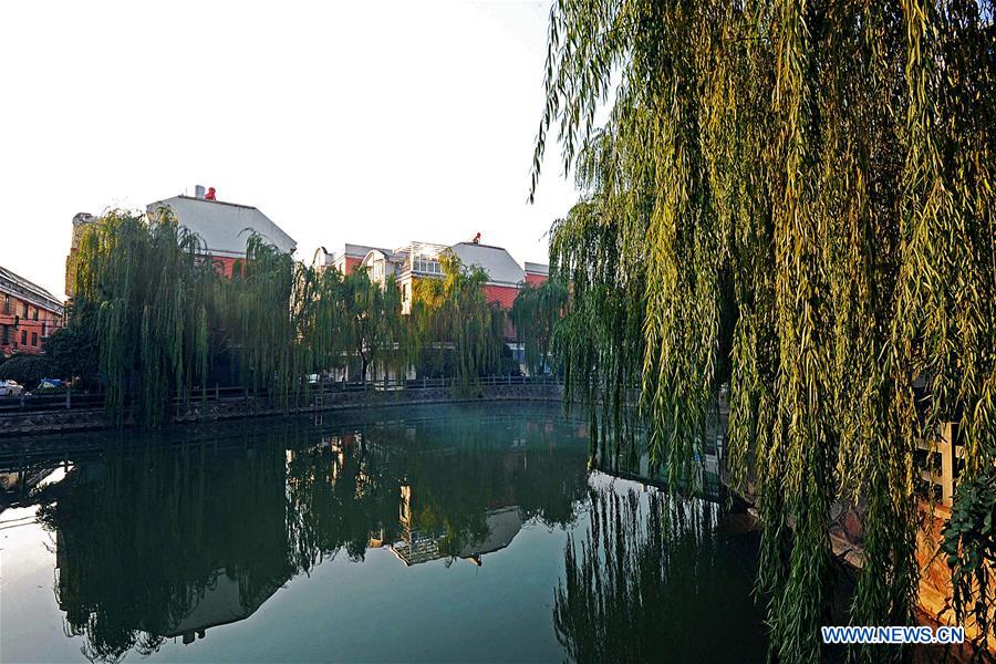 CHINA-ZHEJIANG-RURAL INCOMES (CN)