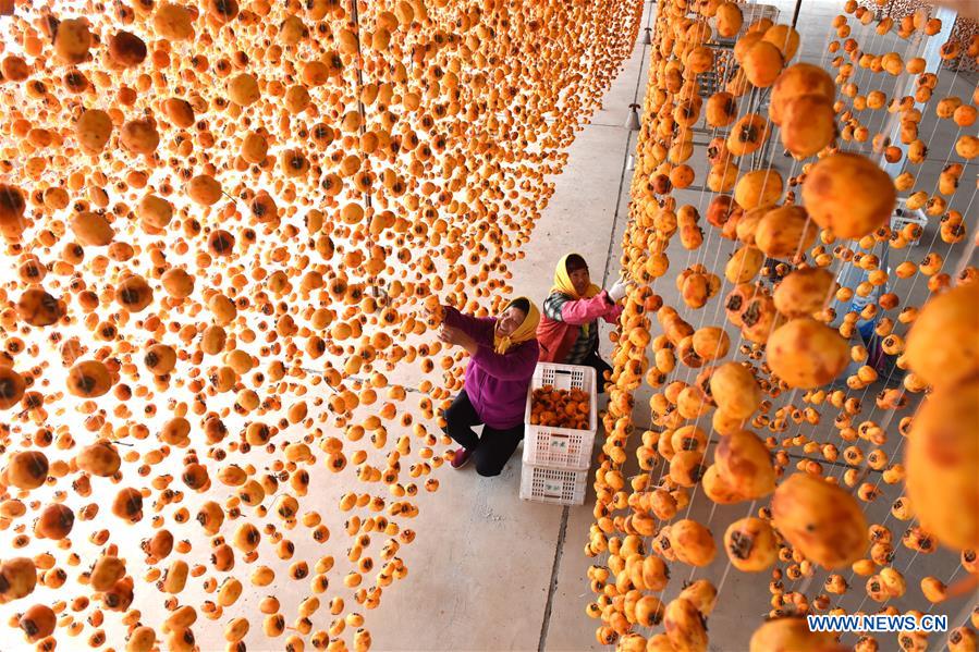 #CHINA-SHANDONG-LINYI-PERSIMMON (CN)
