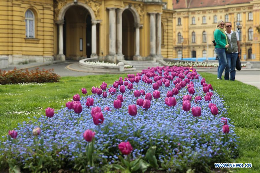 CROATIA-ZAGREB-SPRING-FLOWERS