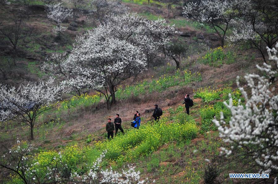 CHINA-GUANGXI-RONGAN-POVERTY ALLEVIATION (CN)