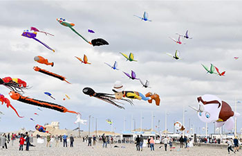 In pics: 20th Dieppe Int&rsquo;l Kite Festival