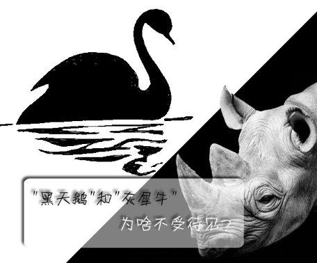 "黑天鵝"和"灰犀牛"為啥不受待見(jiàn)？