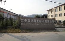 遼寧森能董事李鵬涉嫌內幕交易