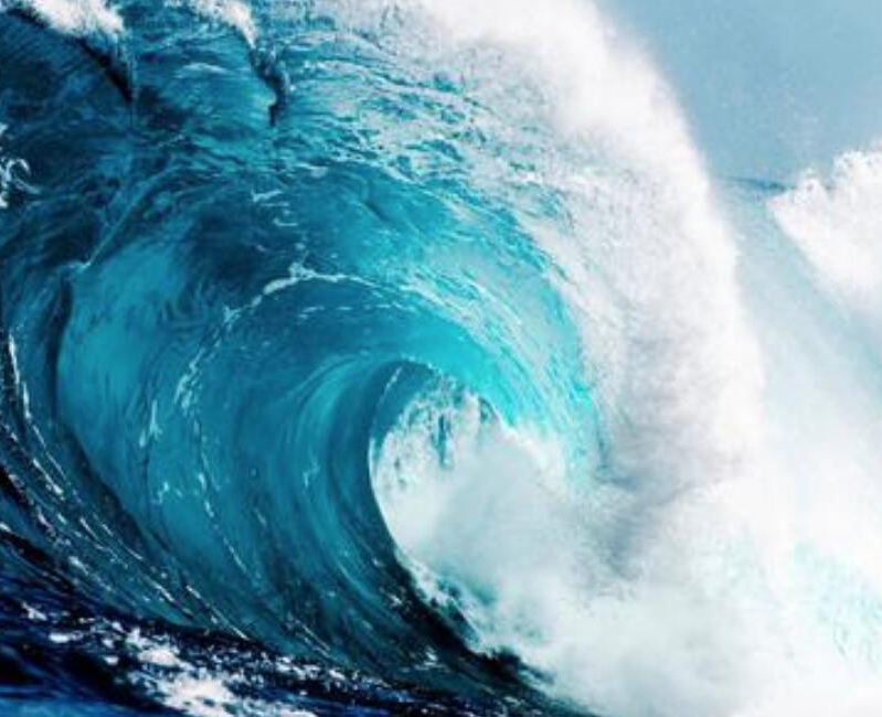 【財經(jīng)翻譯官】浪奔、浪流