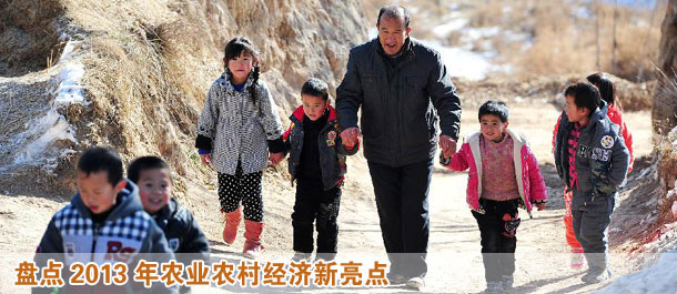 盤點2013年農(nóng)業(yè)農(nóng)村經(jīng)濟(jì)新亮點