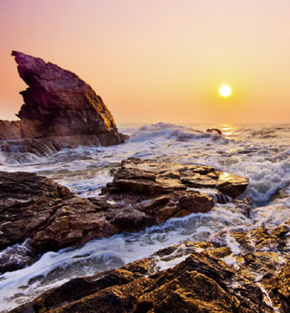 引:市場(chǎng)接旗