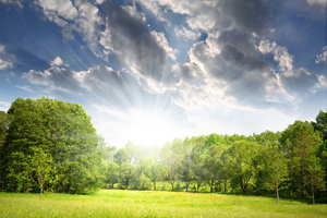 綠增長(zhǎng):環(huán)境問題帶來(lái)的新商機(jī)