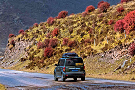 天微涼葉漸黃，最美風(fēng)景是家鄉(xiāng)