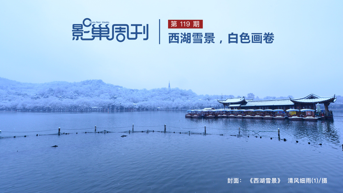 【影巢周刊】西湖雪景，白色畫卷