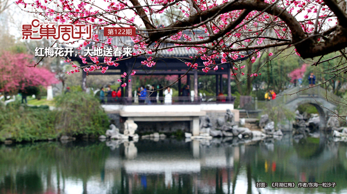 【影巢周刊】紅梅花開，大地送春來