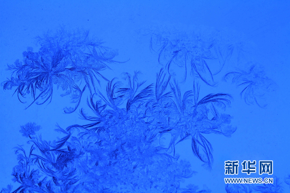 忽如一夜寒冬來，千家萬戶窗花開