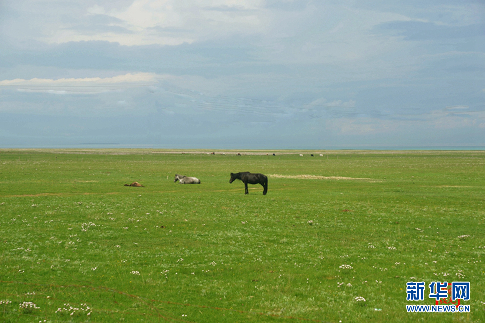 高原放歌之那山、那寺、那朵云