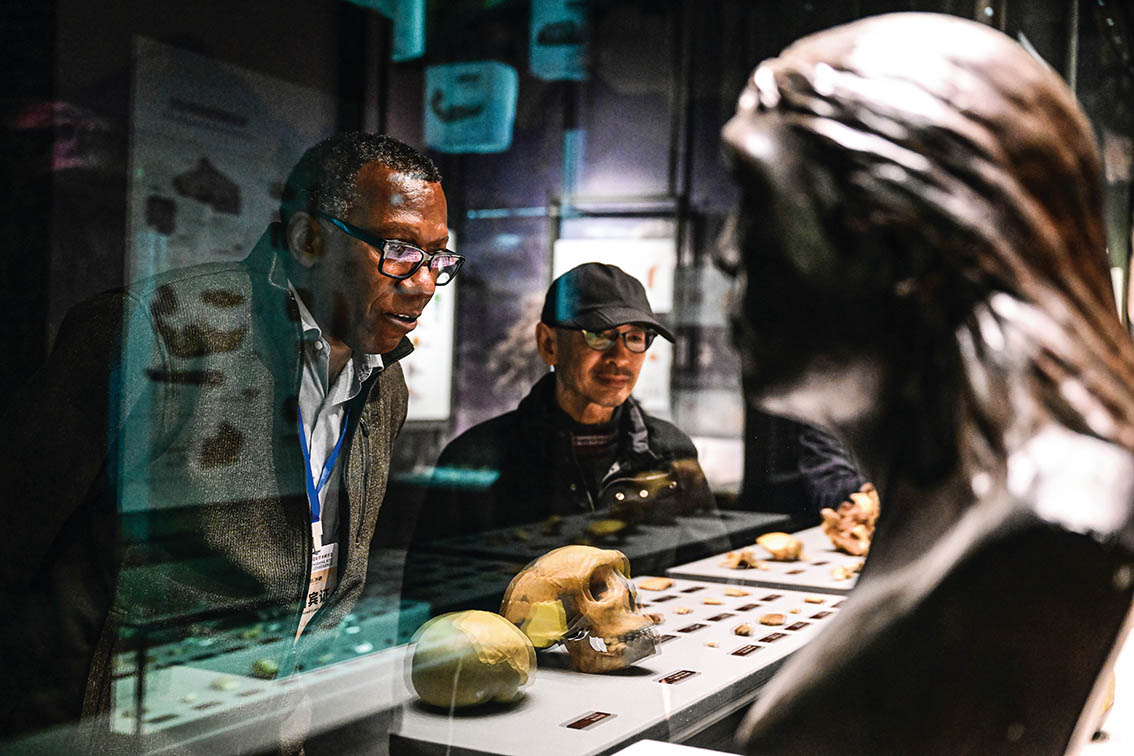 中國化石重塑人類進(jìn)化史認(rèn)知