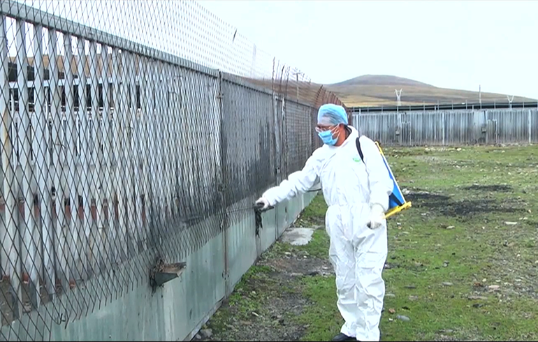 致敬偉大改革｜對話40年，講述身邊的健康故事（第二十一集）&mdash;&mdash;送瘟神