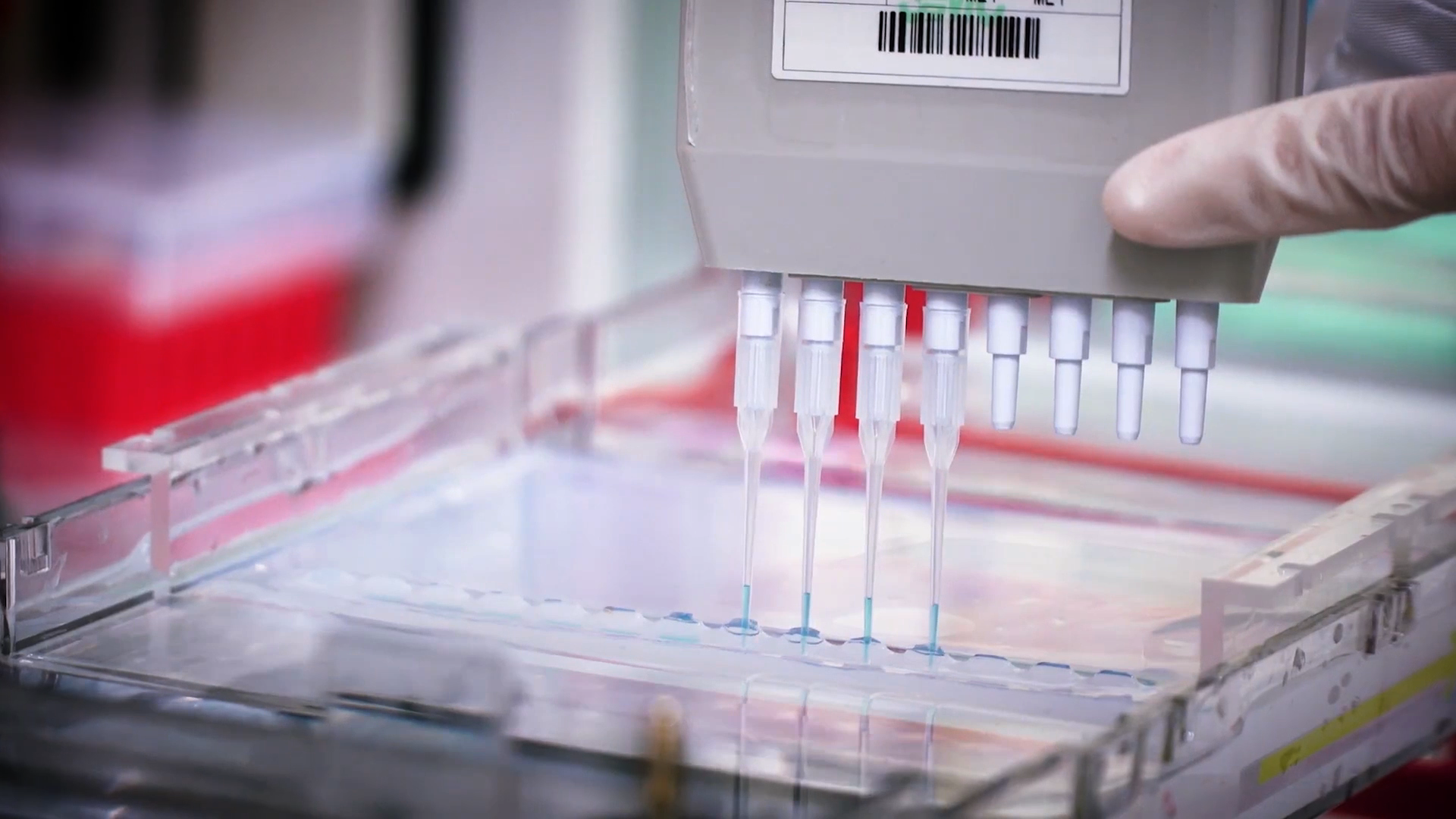 致敬偉大改革｜對話40年，講述身邊的健康故事32&mdash;打破醫(yī)學(xué)禁區(qū)，探尋生命奇跡