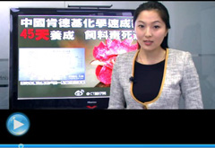 權(quán)威聲音：&ldquo;快時(shí)代&rdquo;究竟還有什么可以速成？