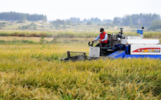40年，小崗人的18個&ldquo;第一次&rdquo;
