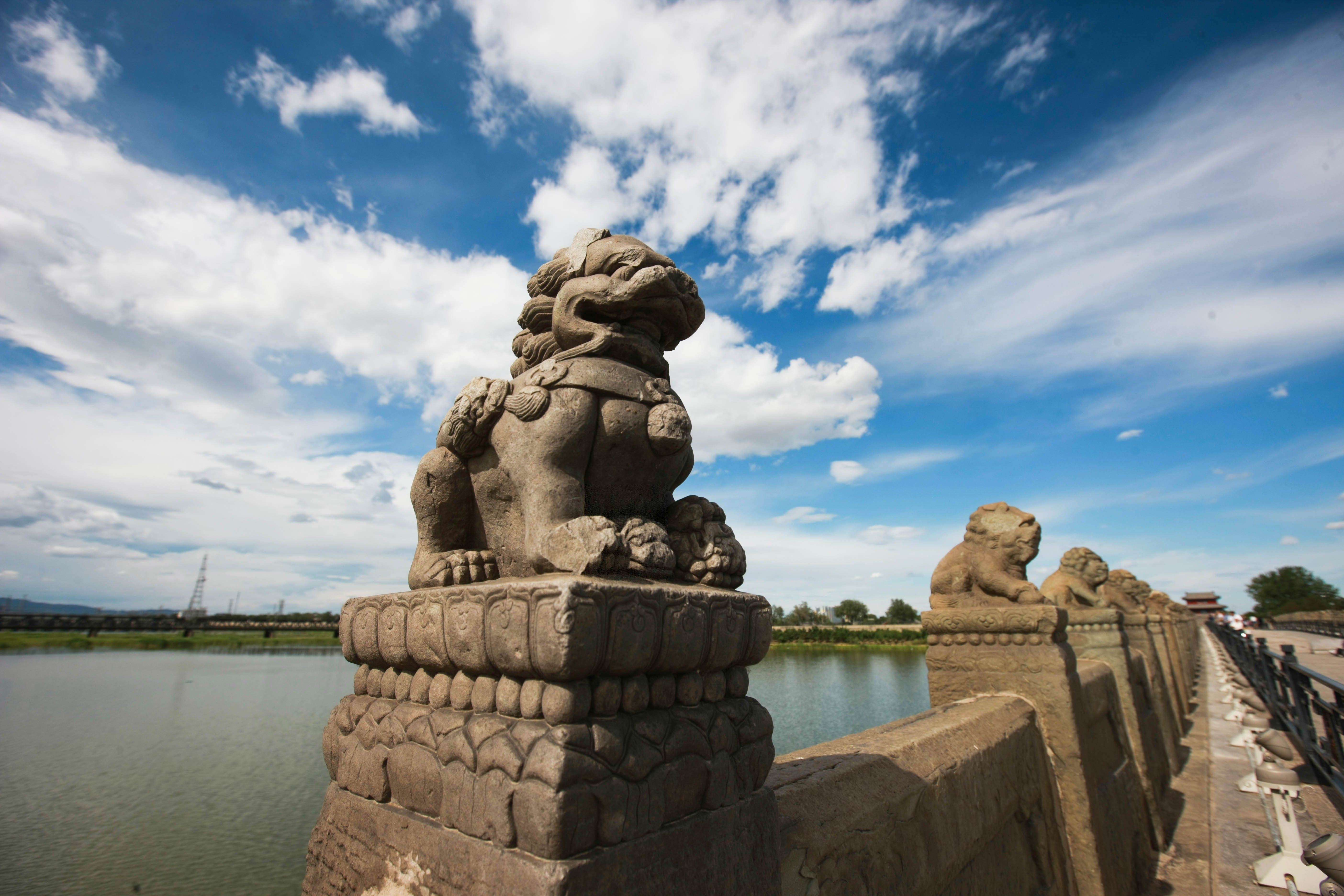 這些照片，來之不易