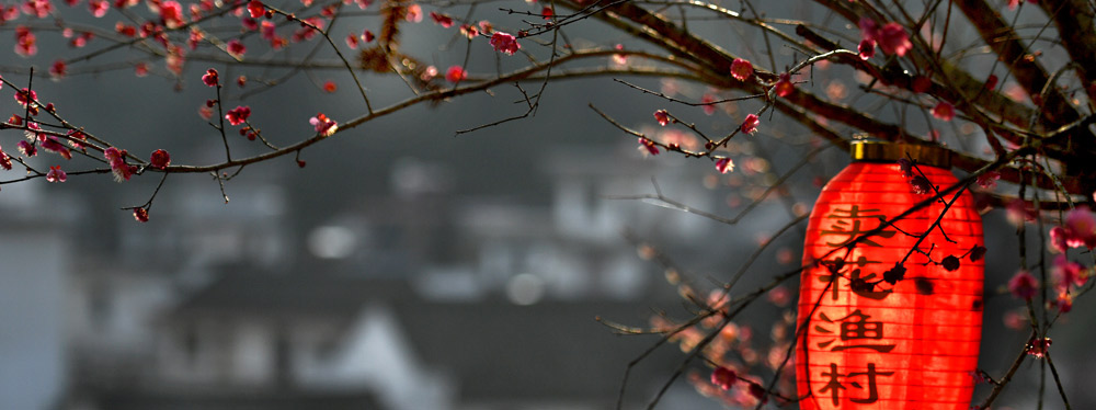 春來(lái)花開(kāi)，綻放正當(dāng)時(shí)