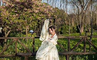 徜徉櫻花花海，來(lái)場(chǎng)動(dòng)漫之旅