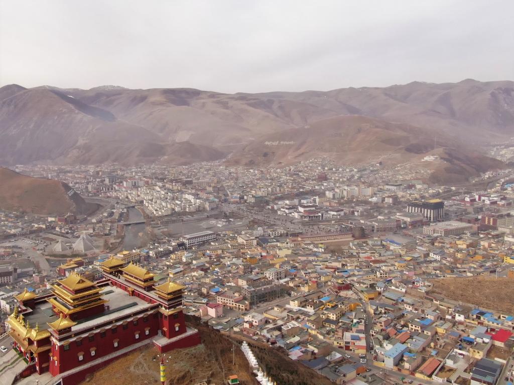 震后11年，玉樹(shù)正芳華