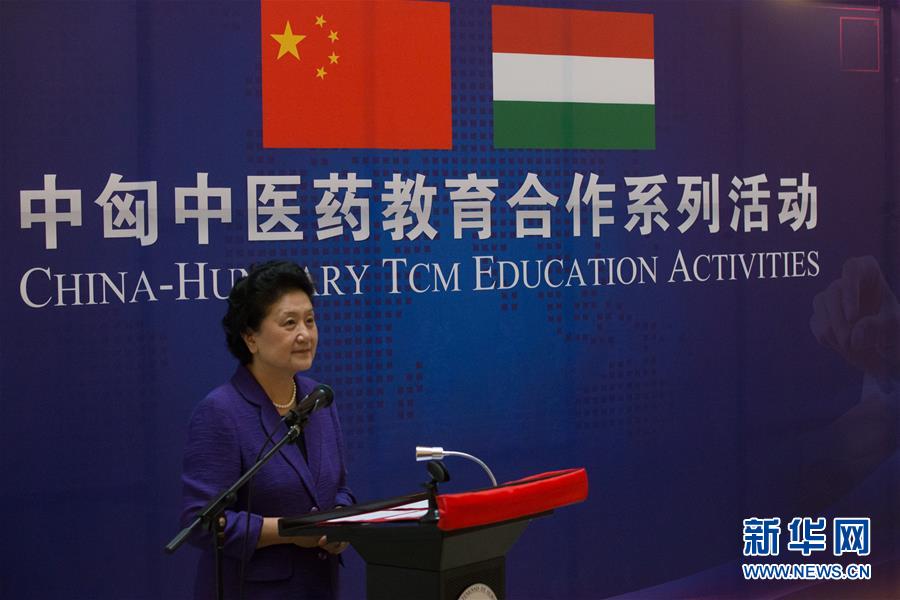 6月18日，在匈牙利布達(dá)佩斯，中國(guó)國(guó)務(wù)院副總理劉延?xùn)|出席中匈中醫(yī)藥教育合作系列活動(dòng)時(shí)講話(huà)。中國(guó)國(guó)務(wù)院副總理劉延?xùn)|18日在布達(dá)佩斯考察匈牙利塞梅爾維斯醫(yī)科大學(xué)并出席中匈中醫(yī)藥教育合作系列活動(dòng)。 新華社發(fā)（弗爾季&middot;奧蒂洛攝）