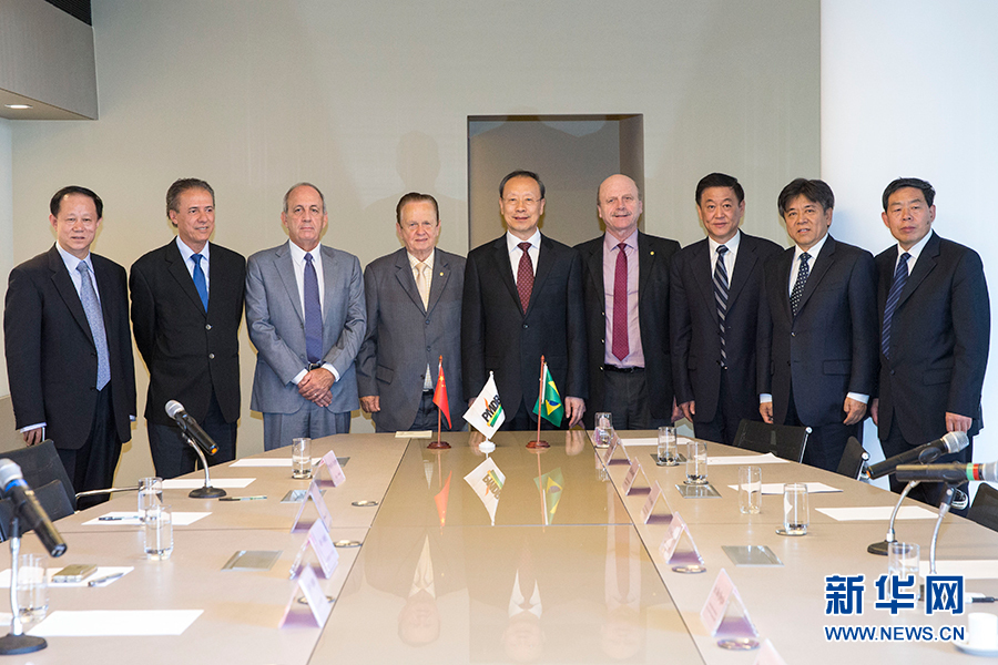 7月11日，在巴西首都巴西利亞，中共中央書記處書記、全國政協(xié)副主席杜青林（中）會(huì)見巴西民主運(yùn)動(dòng)黨總書記毛羅&middot;洛佩斯（左四）。新華社記者李明攝