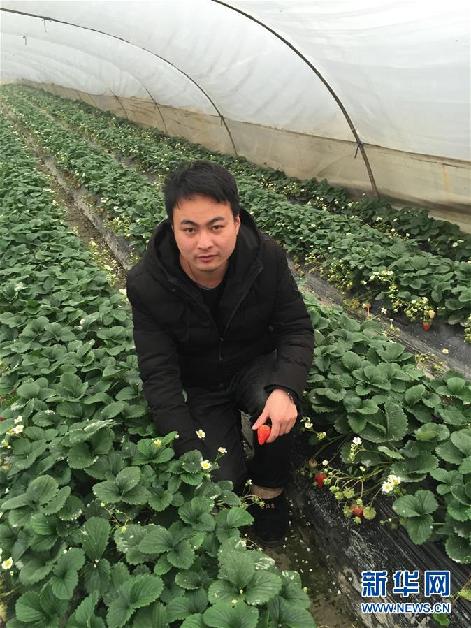 （圖文互動(dòng)）（2）那些因農(nóng)村路改變的青春&mdash;&mdash;三位80后青年的鄉(xiāng)村奮斗路