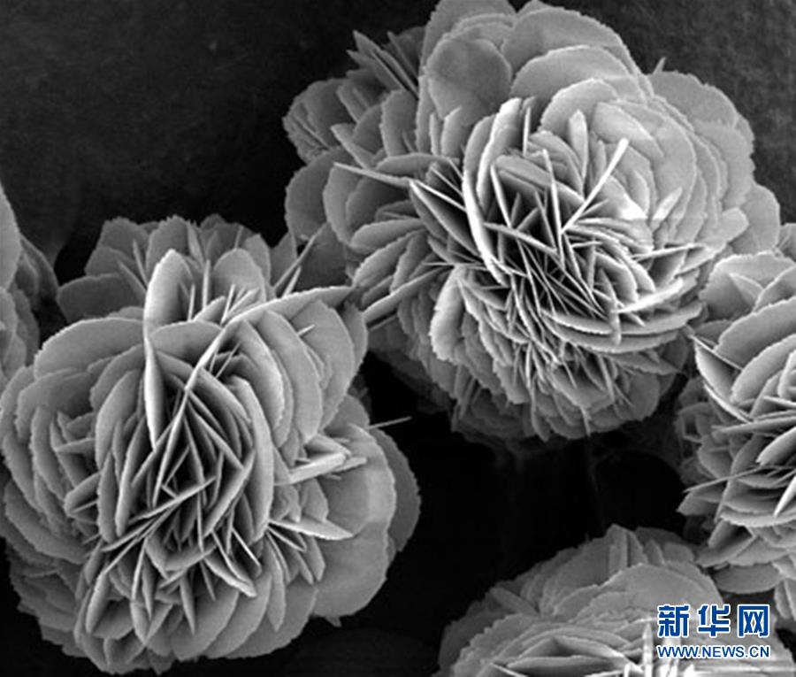 （新時代奮斗者&middot;圖文互動）（3）&ldquo;美麗發(fā)現&rdquo;之路&mdash;&mdash;記青年化學家戈鈞