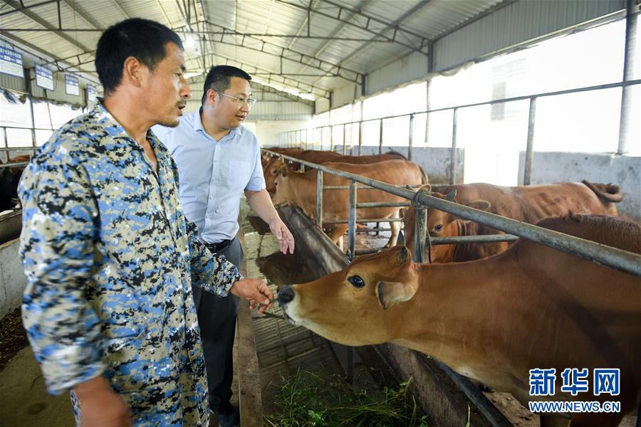 （脫貧攻堅(jiān)&middot;圖文互動(dòng)）（2）&ldquo;不畏難、不畏煩、不畏苦&rdquo;&mdash;&mdash;記&ldquo;80后&rdquo;扶貧干部李朝陽(yáng)