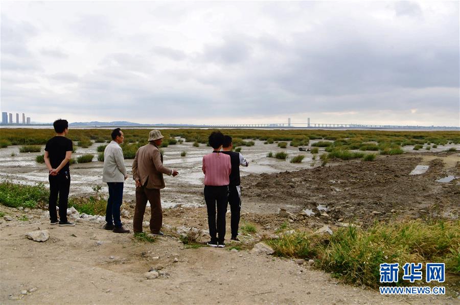 （新華視點&middot;圖文互動）（5）福建10名黨員干部被問責(zé)的背后：7部門十余次執(zhí)法未能有效制止泉州灣濕地圍墾行為