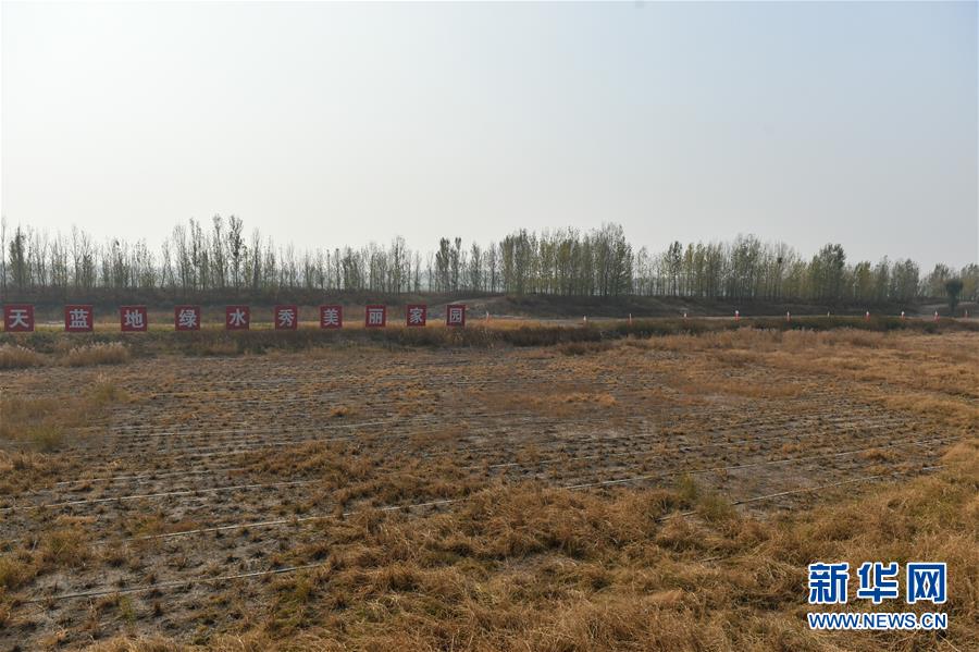 （在習(xí)近平新時(shí)代中國特色社會(huì)主義思想指引下&middot;慶祝改革開放40周年&middot;綠色發(fā)展）（新華全媒頭條&middot;圖文互動(dòng)）（6）綠色發(fā)展：書寫在中國大地上的美麗畫卷