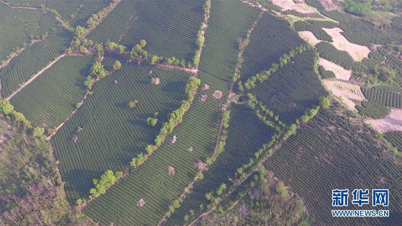 （兩會(huì)前夕看落實(shí)&middot;圖文互動(dòng)）（9）綠色發(fā)展引領(lǐng) 守護(hù)&ldquo;魚(yú)米之鄉(xiāng)&rdquo;&mdash;&mdash;江蘇落實(shí)習(xí)近平總書(shū)記全國(guó)兩會(huì)重要講話精神紀(jì)實(shí)