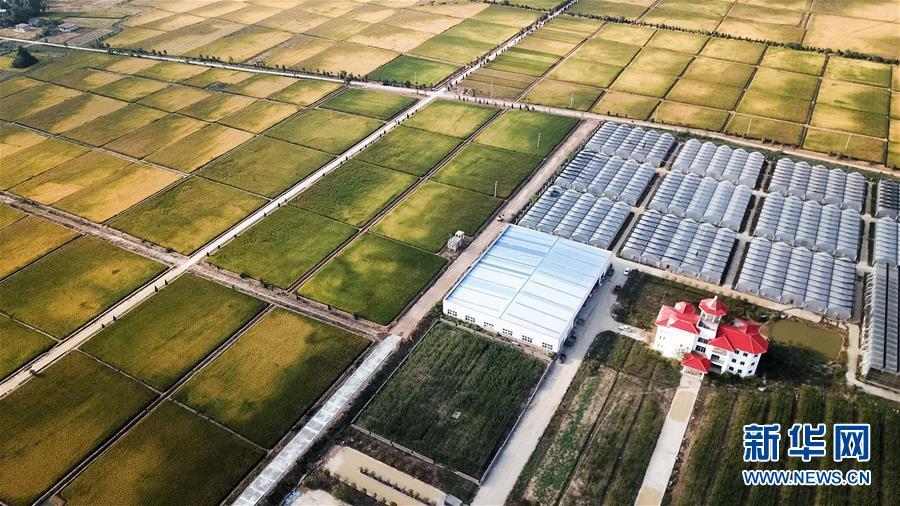 （新華全媒頭條&middot;愛國情 奮斗者&middot;圖文互動）（8）一個村的奮斗，一個時代的巨變&mdash;&mdash;記敢&ldquo;蹚新路&rdquo;的小崗人