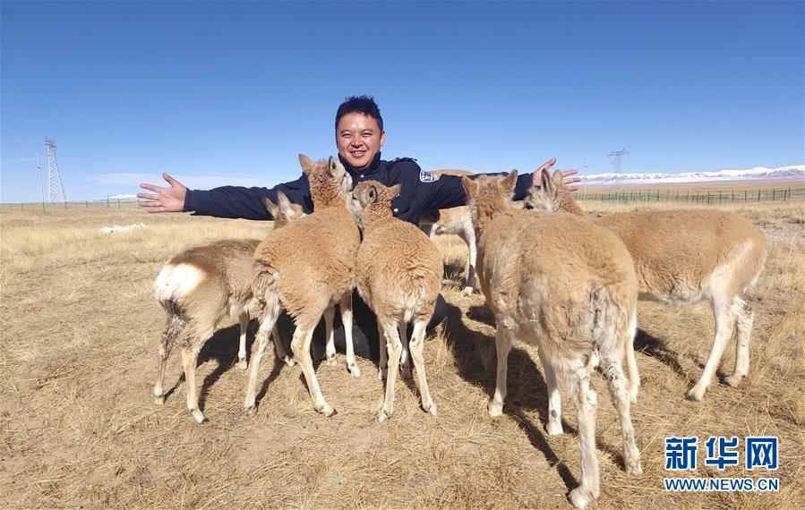 (愛(ài)國(guó)情 奮斗者)(1)藏族巡山隊(duì)員龍周才加:把青春留在可可西里