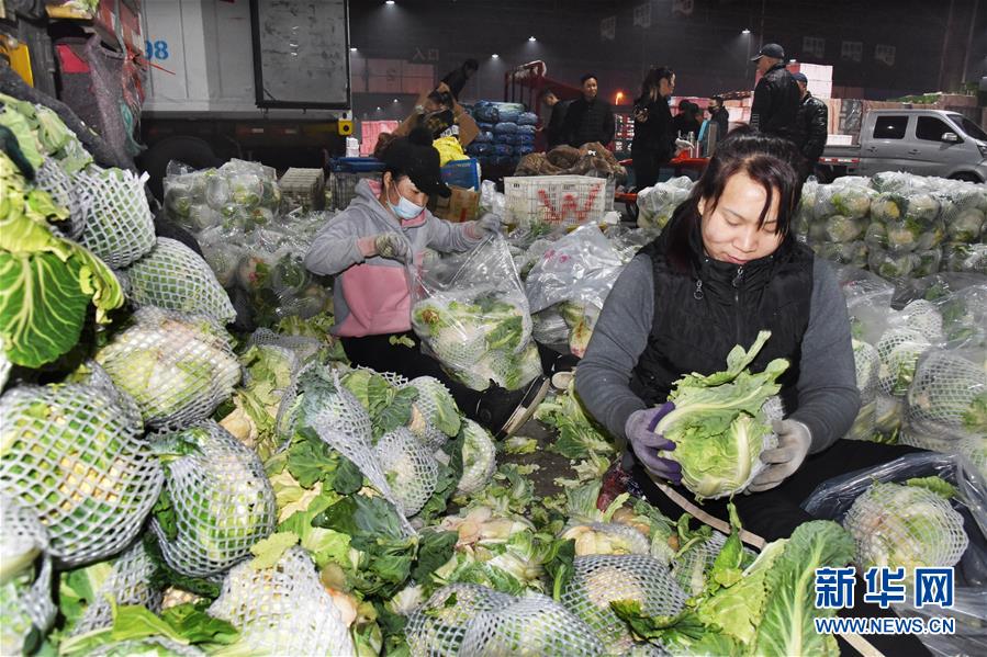 （壯麗70年&middot;奮斗新時(shí)代&middot;圖文互動）（1）山東壽光：一棵&ldquo;菜&rdquo;興一座城 