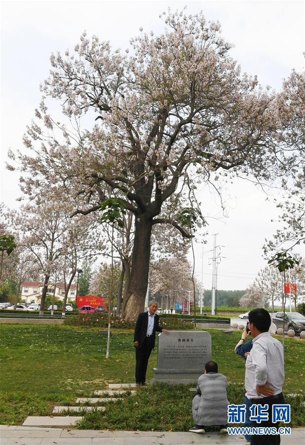 （壯麗70年&middot;奮斗新時代&middot;圖文互動）（6）以改革創(chuàng)新實現(xiàn)縣域新治&mdash;&mdash;河南蘭考縣域治理樣本觀察