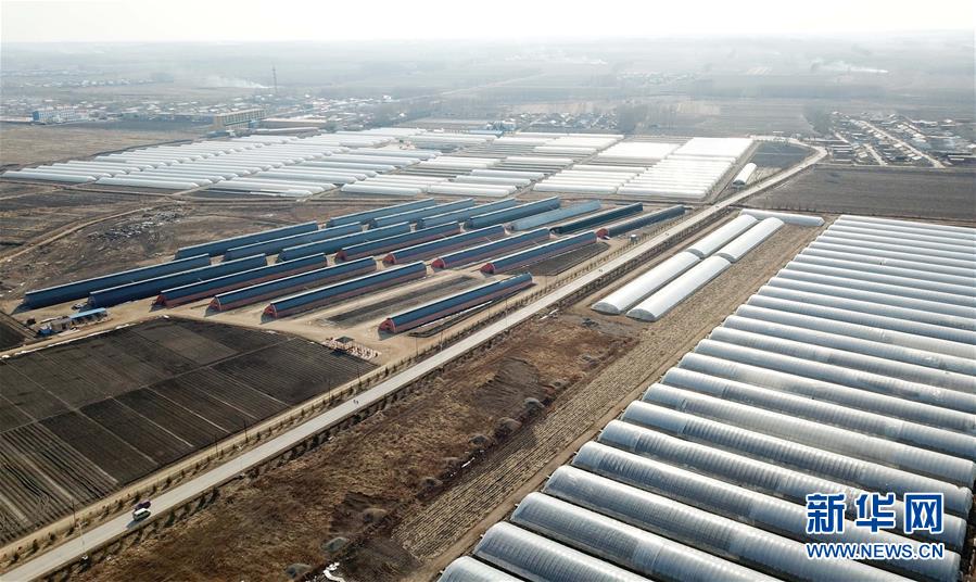 （在習(xí)近平新時(shí)代中國(guó)特色社會(huì)主義思想指引下&mdash;&mdash;新時(shí)代新作為新篇章&middot;圖文互動(dòng)）（3）&ldquo;無人作業(yè)&rdquo;來臨 綠色食品&ldquo;當(dāng)家&rdquo;&mdash;&mdash;黑龍江探索現(xiàn)代農(nóng)業(yè)發(fā)展路徑