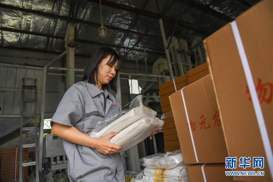 （在習(xí)近平新時(shí)代中國特色社會(huì)主義思想指引下&mdash;&mdash;新時(shí)代新作為新篇章&middot;圖文互動(dòng)）（6）大學(xué)生種田讓農(nóng)民&ldquo;老把式&rdquo;開了眼&mdash;&mdash;吉林長白山下的稻田新事