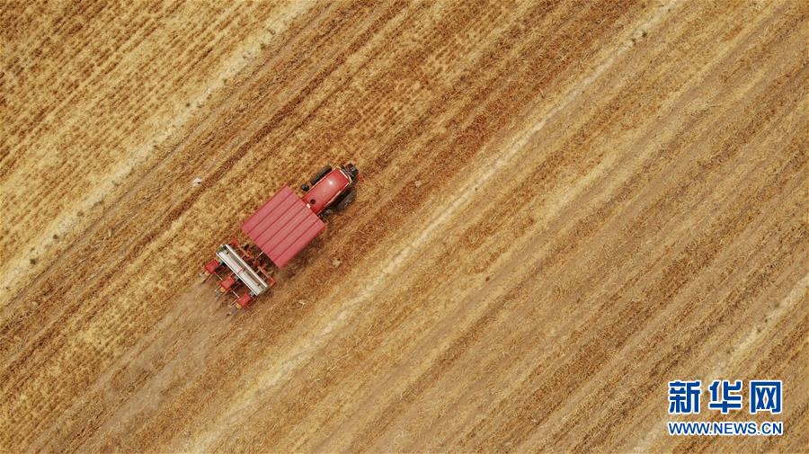 (新華全媒頭條·圖文互動)(7)一個(gè)傳統(tǒng)農(nóng)業(yè)縣的脫貧之路——來自河北新河的調(diào)查報(bào)告