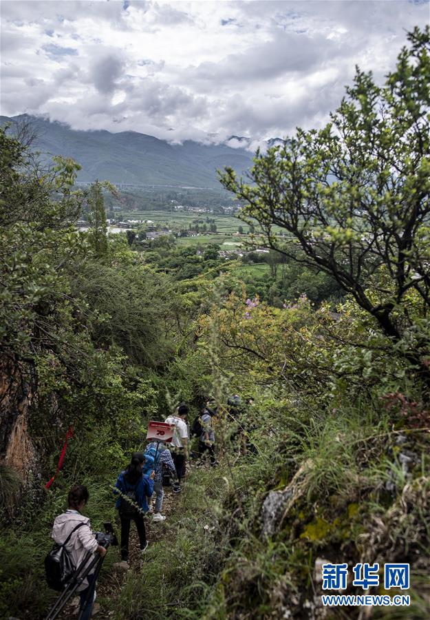 （壯麗70年&middot;奮斗新時(shí)代&mdash;&mdash;記者再走長征路&middot;圖文互動）（2）麗江古城的紅色記憶