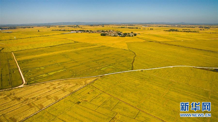 （在習近平新時代中國特色社會主義思想指引下&mdash;&mdash;新時代新作為新篇章&middot;圖文互動）（2）吉林萬昌現(xiàn)代農(nóng)業(yè)發(fā)展先導區(qū)&ldquo;三變&rdquo; 