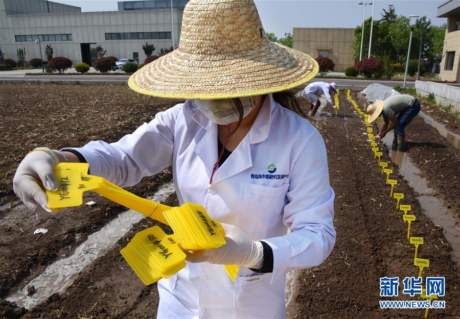 （壯麗70年&middot;奮斗新時代&mdash;&mdash;共和國發(fā)展成就巡禮）（10）看今朝齊風(fēng)魯韻　七十載芳華正勁&mdash;&mdash;新中國成立以來山東領(lǐng)先發(fā)展紀(jì)實