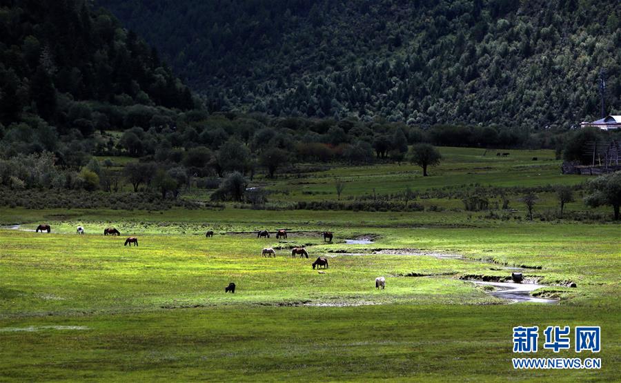 （新華全媒頭條&middot;決戰(zhàn)決勝脫貧攻堅(jiān)&middot;圖文互動(dòng)）（7）為了人與自然和諧共生&mdash;&mdash;云南&ldquo;三江并流&rdquo;地區(qū)決戰(zhàn)精準(zhǔn)脫貧的&ldquo;生態(tài)畫卷&rdquo;