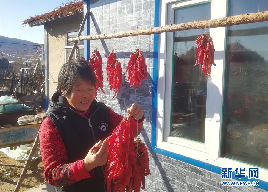 （在習近平新時代中國特色社會主義思想指引下&mdash;&mdash;新時代新作為新篇章&middot;總書記關心的百姓身邊事&middot;圖文互動）（3）一個貧困山村的振興新動能&mdash;&mdash;小故事里的大情懷之五