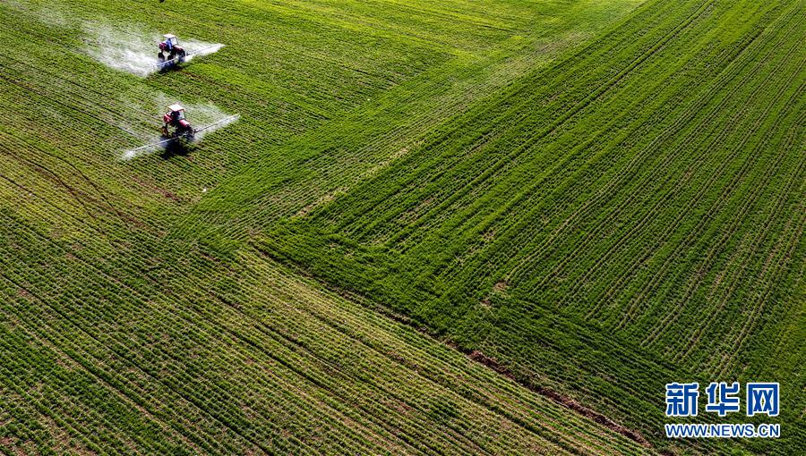 （新華全媒頭條&middot;圖文互動(dòng)）（13）磨難壓不垮 奮起正當(dāng)時(shí)&mdash;&mdash;習(xí)近平總書記在統(tǒng)籌推進(jìn)新冠肺炎疫情防控和經(jīng)濟(jì)社會(huì)發(fā)展工作部署會(huì)議上的重要講話振奮人心凝聚力量