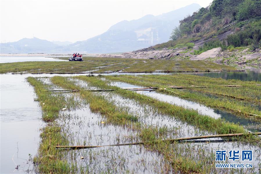 (圖文互動(dòng))(1)長(zhǎng)江魚的新家